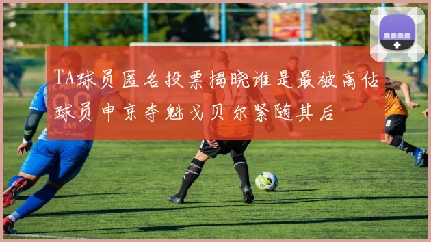 TA球员匿名投票揭晓谁是最被高估球员申京夺魁戈贝尔紧随其后